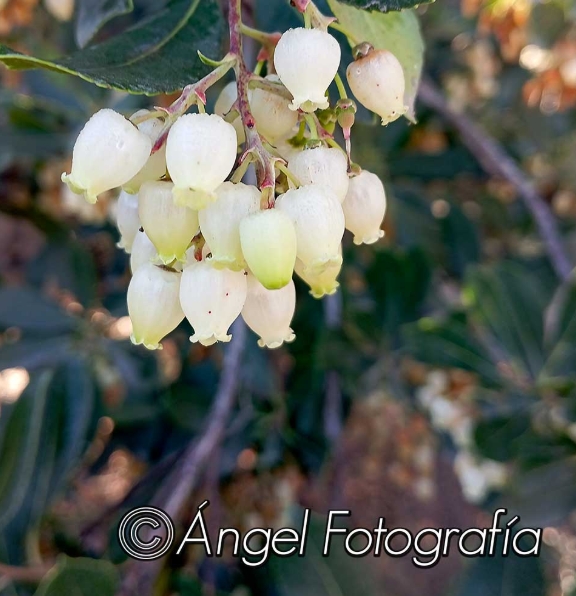 Captura de pantalla_10-12-2025_13115_www.facebook.com