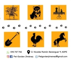 Captura de pantalla_15-4-2026_85459_www.canva.com